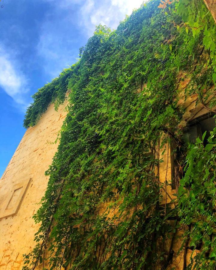 Antico Mezzanino - Dimora Storica Apartment Остуни Екстериор снимка